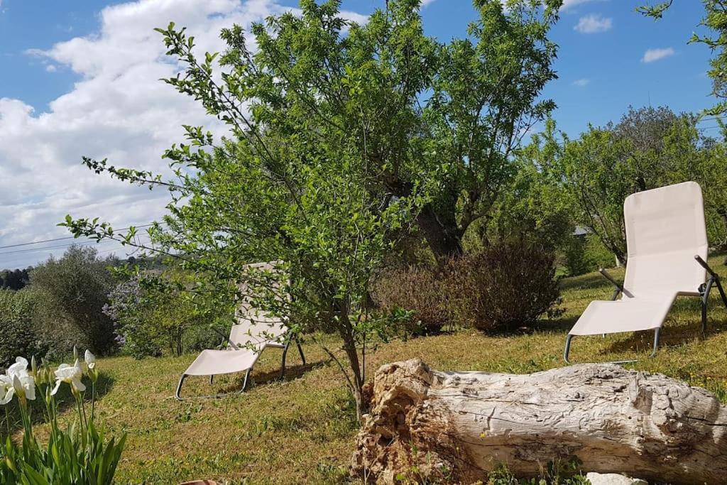 Podere Del Gelso Bianco, Vacation Rental Ostuni Buitenkant foto