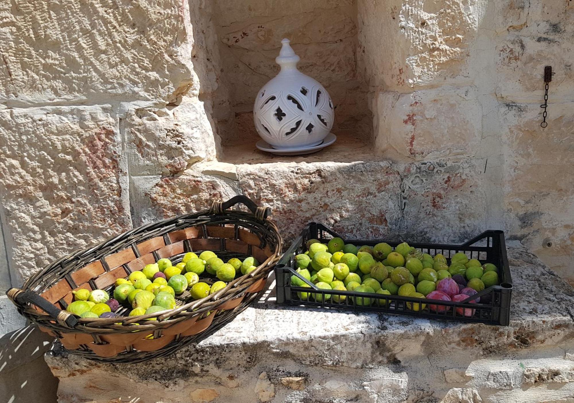 Podere Del Gelso Bianco, Vacation Rental Ostuni Buitenkant foto