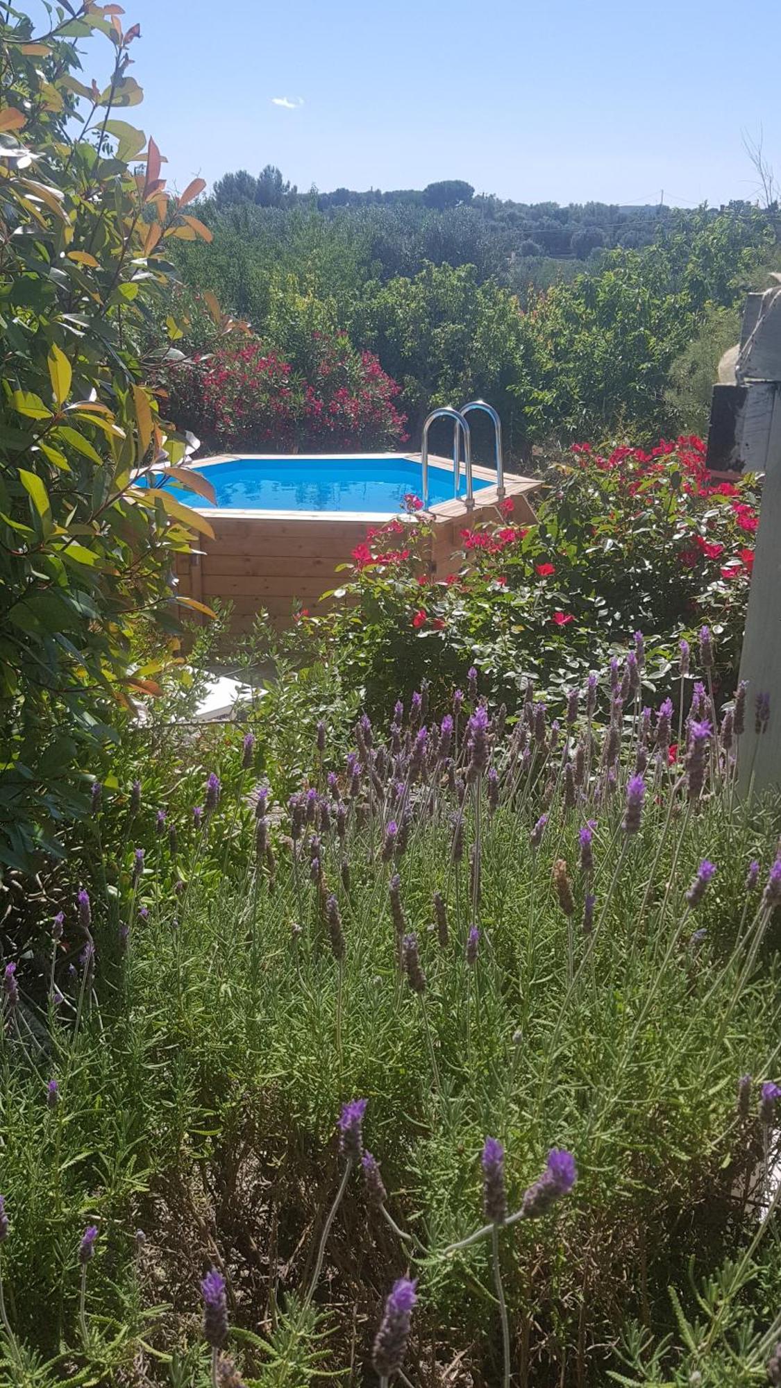 Podere Del Gelso Bianco, Vacation Rental Ostuni Buitenkant foto